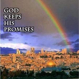 Meet your Posher, Iris